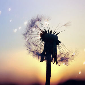 Meet your Posher, Michaelea